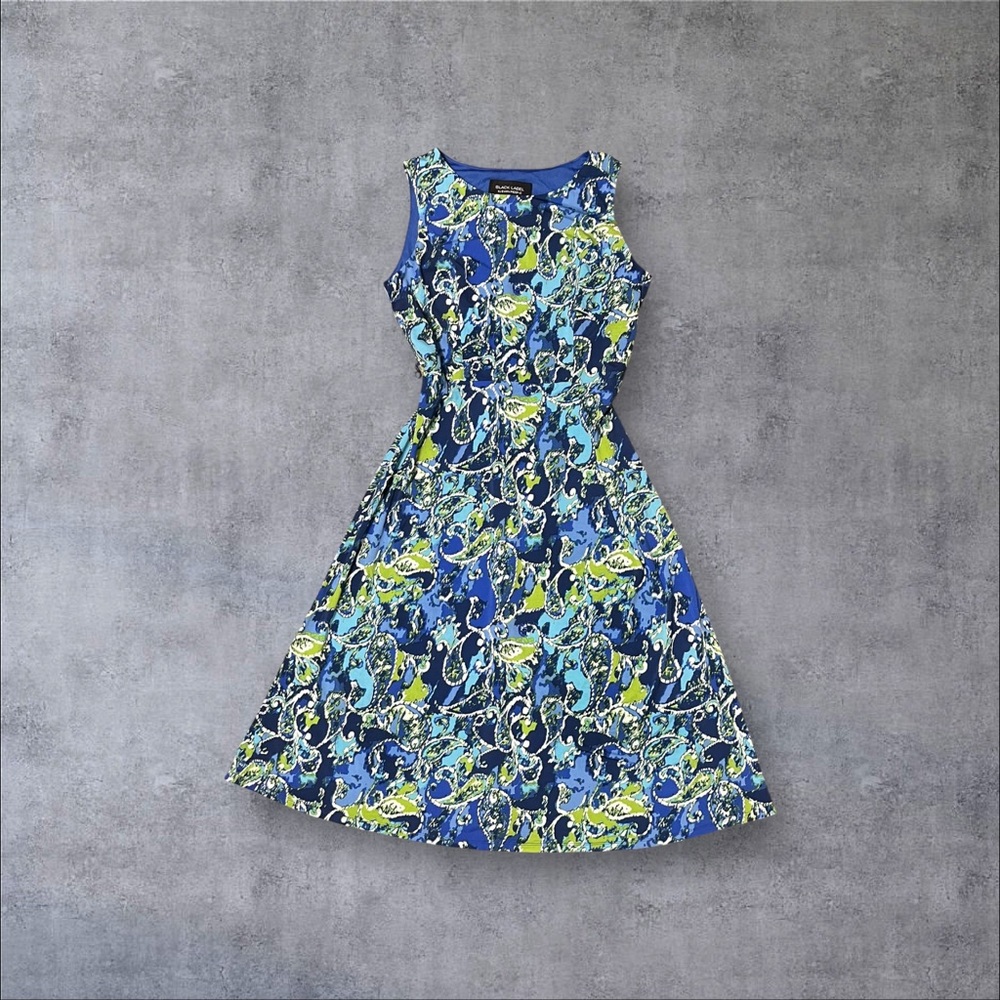 Blue & Green Sleeveless A-Line Dress